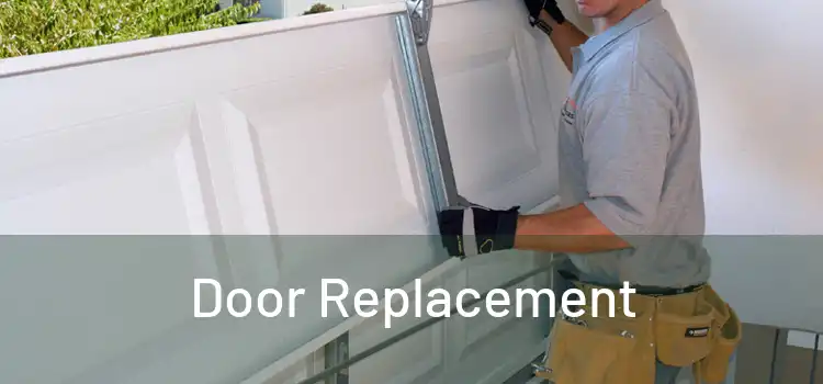  Door Replacement 